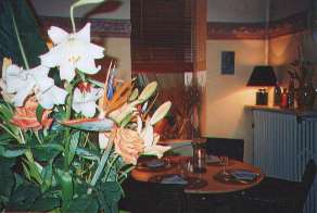 Table dressée sur la terrasse du jardin